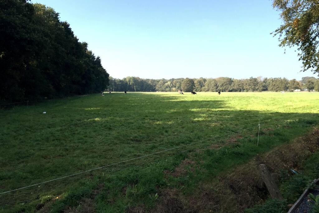 Natuurhuisje Veluwe Met Houtkachel En Pizzaoven Villa Ermelo Kültér fotó